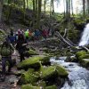 09 b Schluchensteig Etappe 4 - 6